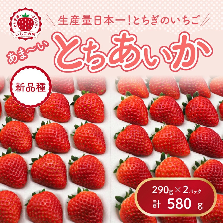 【先行予約】【数量限定】とちあいか 290g×2パック｜いちご イチゴ 苺 先行予約 栃木県 果物 くだもの フルーツ とちあいか 新鮮 贈答 ギフト ※2026年11月～発送