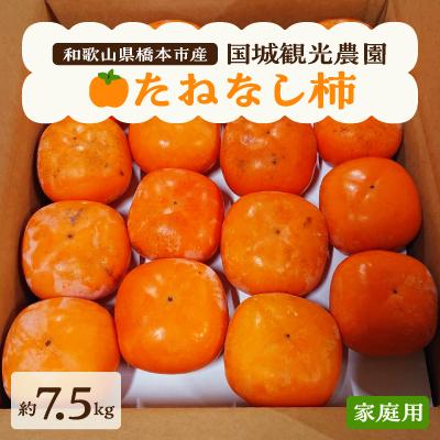 ふるさと納税 橋本市 国城観光農園のたねなし柿(家庭用・訳あり)約7.5kg