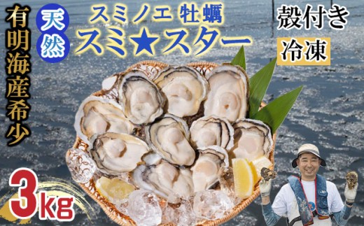天然 有明海産「冷凍スミノエ牡蠣」スミ☆スター3Kg 殻付き牡蠣 加熱調理用 はしま海苔