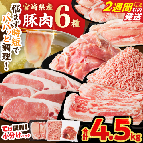 【2週間以内発送】≪宮崎県産≫豚肉6種＼てげスゲーセット／合計4.5kg 肉 豚 豚肉 おかず 国産_T009-032-2W