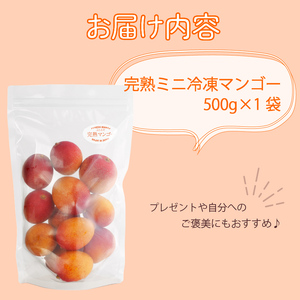 マンゴー 完熟 冷凍 ミニマンゴー 500g 国産 フルーツ 果物 デザート スイーツ マンゴー 静岡県 藤枝市 