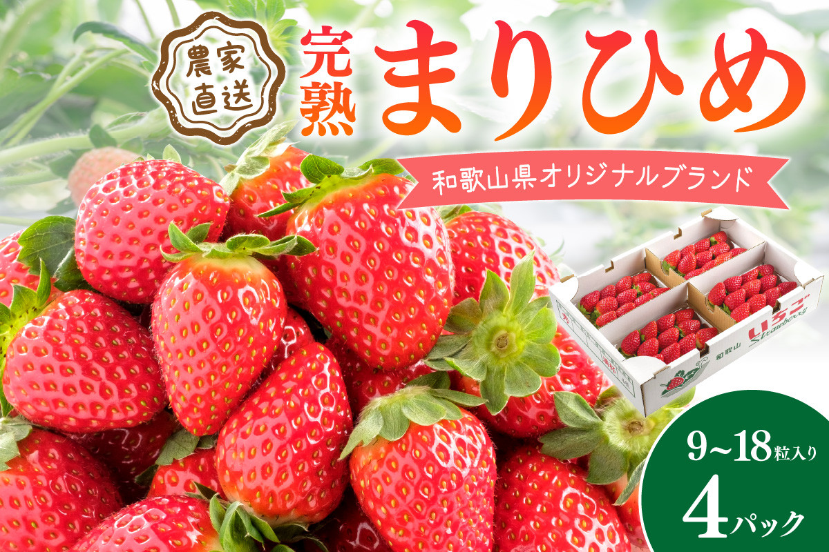 
            完熟まりひめ（和歌山県オリジナルブランドいちご）9～18粒入×4パック（4月土日祝）【配送不可地域 北海道 沖縄 離島】 期間限定 苺 イチゴ ケーキ デザート おやつ 果物 フルーツ オリジナルブランド 新鮮 柔らかい 甘い 糖度 旨味 食べ応え抜群

          