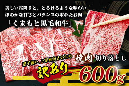 【定期便6回】《 訳あり 》くまもと 黒毛和牛 焼肉 切り落とし 600g ×6回 お届け 本場 熊本県 黒毛 和牛 ブランド 牛 肉 焼き肉 やきにく 上質 くまもと 訳アリ 113-0519