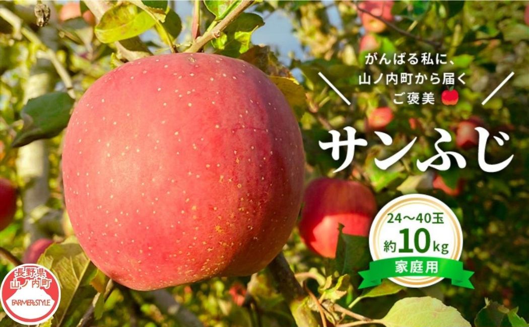 今日を癒すひと玉 私のサンふじ　サンふじ　家庭用　10kg りんご 果物