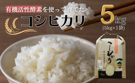  令和7年産 有機活性酵素を使用 新見産コシヒカリ 白米5kg×1袋