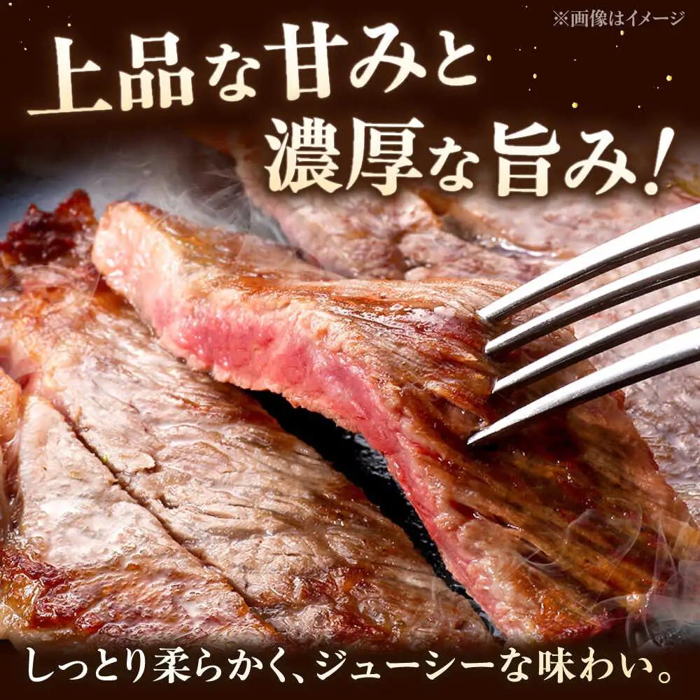 【全6回定期便】【A5-A4等級】博多和牛 サーロイン ステーキ 2枚（計500g）桂川町/株式会社チクゼンヤ [ADBZ019] ステーキ用 和牛 国産 