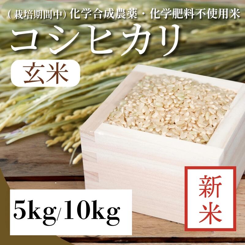 【ふるさと納税】令和7年産 新米 玄米 5kg 10kg コシヒカリ 新米 令和7年産 米 こめ ご飯 ごはん おにぎり 卵かけご飯 白米 栽培期間中 化学合成農薬不使用 食品 備蓄 備蓄米 保存 防災 ギフト 贈答 プレゼント お取り寄せ グルメ 送料無料 徳島県