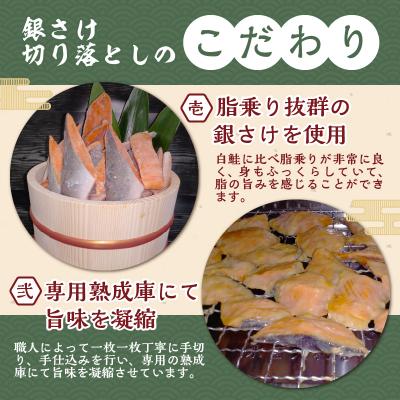 ふるさと納税 甲府市 【骨取り】西京漬け銀さけ切り落とし&みりん醤油漬けイカ短冊 ボリュームの合計1.1kg! |  | 01