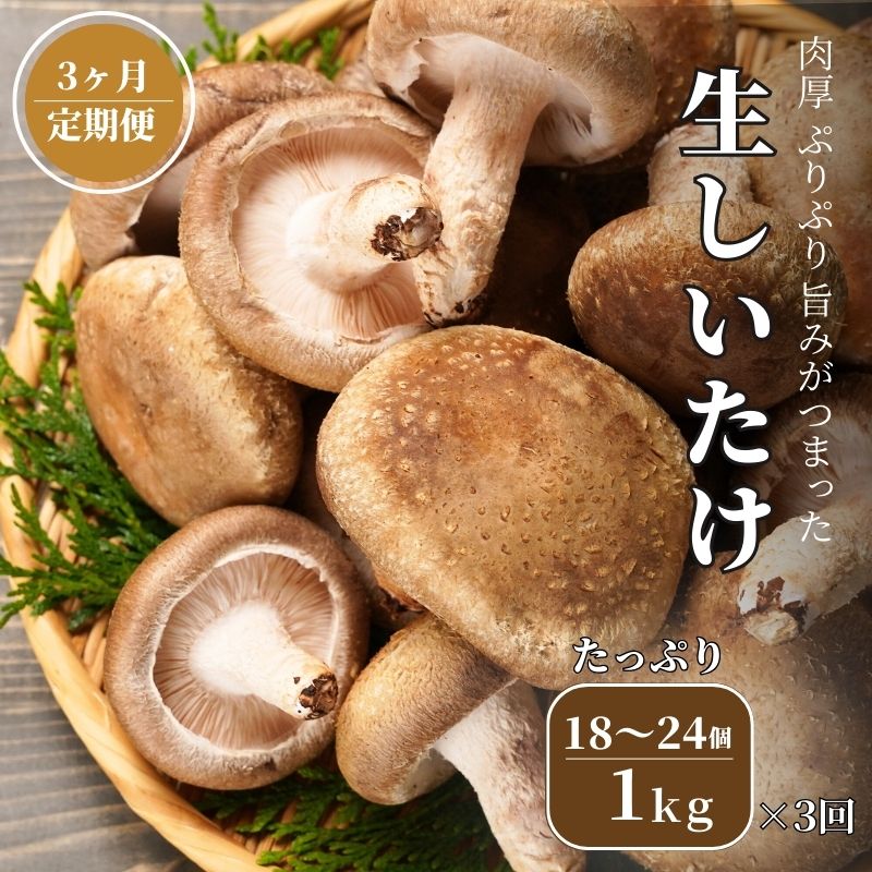 【ふるさと納税】【定期便】 生しいたけ 1kg(肉厚椎茸18～24個)×3ヶ月お届け 計3kg 焼山しいたけ園の手のひらシイタケ 新鮮 ジャンボ 農園直送 おすすめ 新潟県 お取り寄せ グルメ 国産 椎茸 しいたけ 3月末までの限定品 大きめサイズ