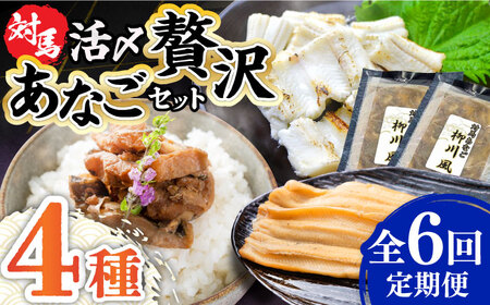 【全6回定期便】対馬産 あなご 贅沢 セット [WAC022] 煮あなご 佃煮 アナゴ