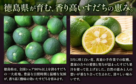 すだち酎 6本 お酒 焼酎