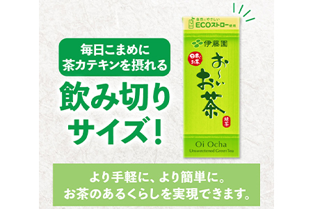 紀の川市産 紙パック飲料 おーいお茶 250ml×24本 1ケース 株式会社伊藤園 《30日以内に順次出荷(土日祝除く)》 和歌山県 紀の川市 お茶 おーいお茶 緑茶 日本茶 送料無料