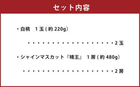 詰合 白桃 2玉 （1玉220g以上） シャインマスカット晴王 2房 （1房480g以上） 化粧箱入り 【2025年7月下旬～8月上旬迄発送予定】 果物 くだもの フルーツ 桃 もも モモ ぶどう ブ