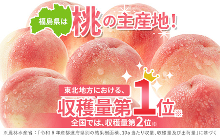 【2026年出荷分先行予約】福島県産 さくら白桃 約5kg (9～18玉) サトー農園 大玉 固め 白桃 伊達の桃 桃 フルーツ 果物 もも モモ momo F20C-836