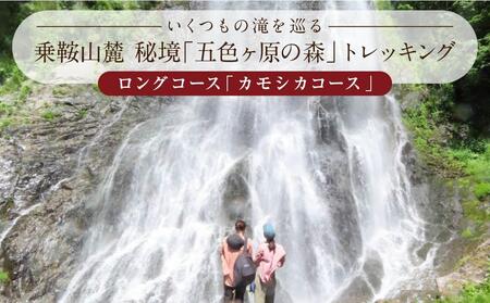 平湯温泉 【匠の宿深山桜庵】 2泊4食＆五色ヶ原トレッキング（カモシカコース）＋送迎付き【期間限定：2024年6月～10月】 LQ002