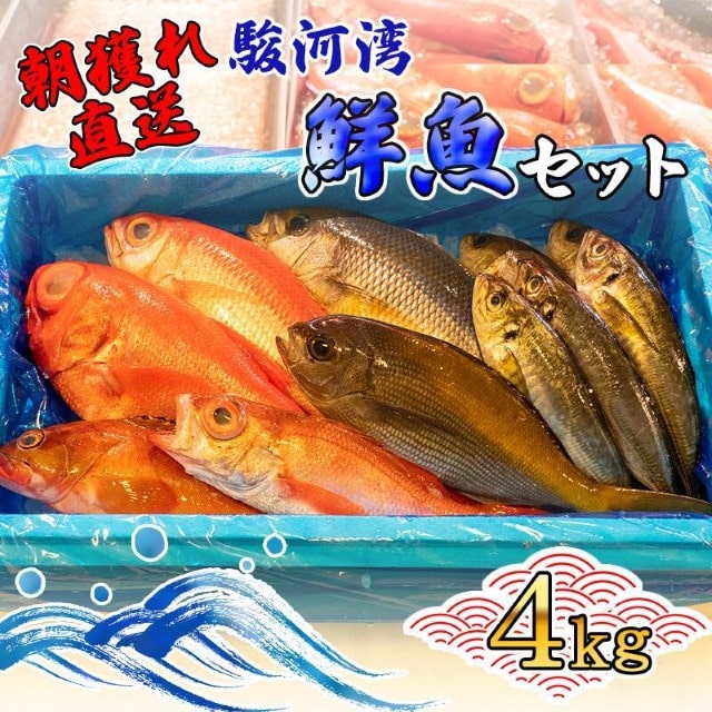 天然 旬の鮮魚セット 4kg 鮮魚ボックス 程度 沼津港 朝獲れ直送