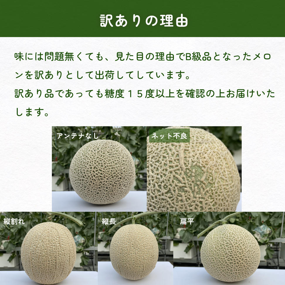 【訳あり】富山県産 アールスメロン（おまかせ計2個） 富