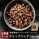 【ふるさと納税】 【6ヶ月定期便】 自家焙煎スペシャルティコーヒー 合計60杯分 ドリップバッグ 12g×10個×6回 ドリップコーヒー 珈琲 半年 定期便 グアテマラ SanVictor農園 シングルオリジン サンビックトル