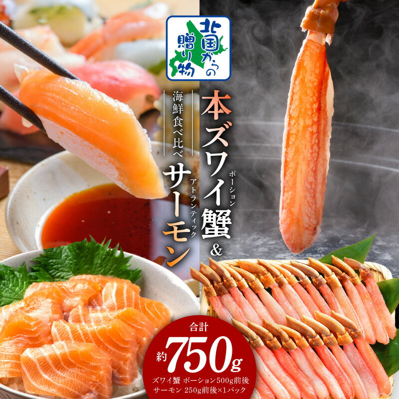 【ふるさと納税】北国からの贈り物 本ズワイガニ ポーション 500g 生食可 蟹酢付 アトランティックサーモン 250g 海鮮 食べ比べセット 濃厚 旨み 簡単 サーモン しゃぶしゃぶ カニ鍋 脚 ずわい蟹 むき身 刺身 蟹肉 鍋 海の幸 魚 鮭 泉佐野市 送料無料