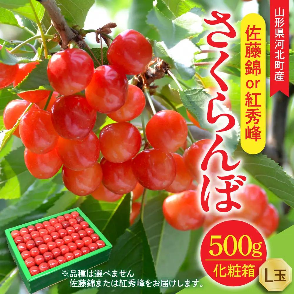令和9年産 さくらんぼ 佐藤錦or紅秀峰 500g L玉 特秀品 さくらんぼ