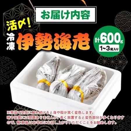 活〆冷凍伊勢海老600g【配送不可地域：離島】【1607625】