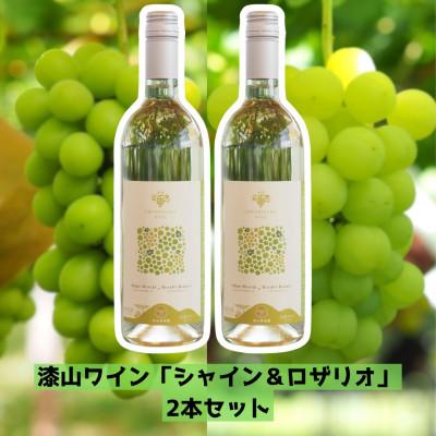 ふるさと納税 南陽市 漆山ワイン「シャイン&amp;ロザリオ」2本【S2078】