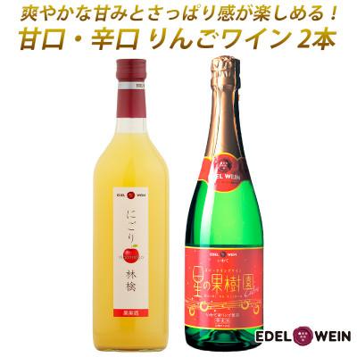 ふるさと納税 花巻市 甘口・辛口りんごワイン(各1本)計2本セット