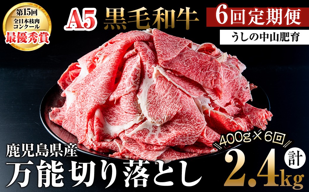 【定期便全6回】＜A4・A5等級＞黒毛和牛堪万能切り落とし肉 計2.4kg（400g×1P・全6回） t0072-005