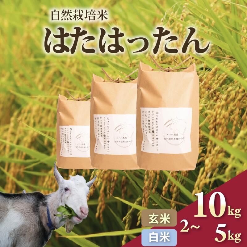 【ふるさと納税】 先行予約 新米 令和7年産 はたはったん 2kg ～ 5kg 精米 玄米 10kg あり 選べる 容量 自然栽培米 白米 お米 米 2025年産 ご飯 ごはん ライス 白飯 コメ あっさり 美味しい おいしい 石川 能登 羽咋
