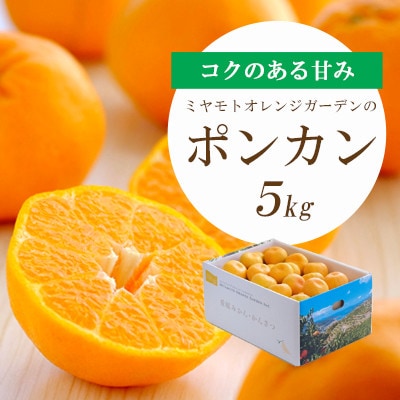 【2026年1月以降発送】愛媛の新春柑橘 芳醇な香りのポンカン5kg【D25−124】【1248058】