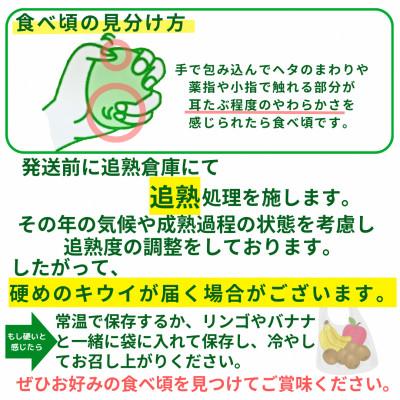 ふるさと納税 広川町 【2025年11月上旬発送開始】甘さ溢れるキウイフルーツ 博多甘うぃ計3.6kg(20〜30玉) |  | 03