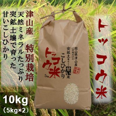 ふるさと納税 津山市 【突鉱土育ち】津山産トッコウ米(こしひかり)10kg |  | 01