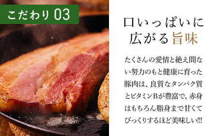 ＜木更津の恵みポーク＞ベーコン約300g×3 KCB004