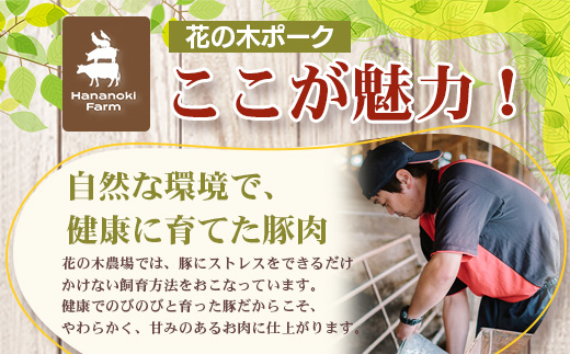 《全3回定期便》<2ヶ月に１回お届け>花の木農場【ハム詰め合わせセット】7種 計1,000g HK-18│ハム ベーコン クラフトハム 人気 南大隅町 第2花の木ファーム ノウフク ソーセージ 詰め合