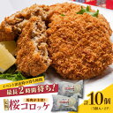 【ふるさと納税】熊本肥育 桜コロッケ 馬肉 コロッケ 10個 (5個×2P)【肉のみやべ】[YAC008]