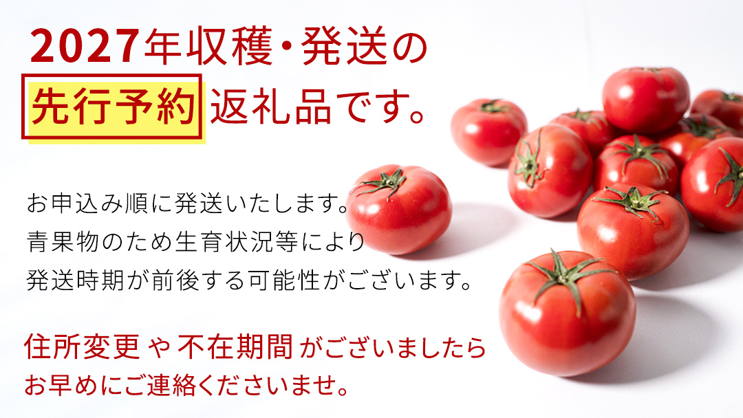 《 2027年 収穫分 》2～3月配送 スーパーフルーツトマト てるて姫 中箱 約1.2kg × 1箱 【12～15玉/1箱】 糖度9度以上 先行予約 フルーツトマト ブランドトマト 野菜 ギフト 贈