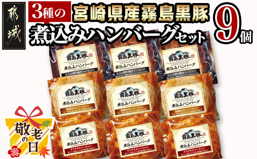 
            【敬老の日】霧島黒豚 3種の煮込みハンバーグギフト (デミグラスソース仕立て・和風おろしソース仕立て・大人の照焼きソース仕立て)≪9月11日～15日お届け≫_AA-2804-KG_(都城市) 霧島黒豚 煮込みハンバーグ デミグラス 和風おろし 照焼き ギフト 贈答用
          