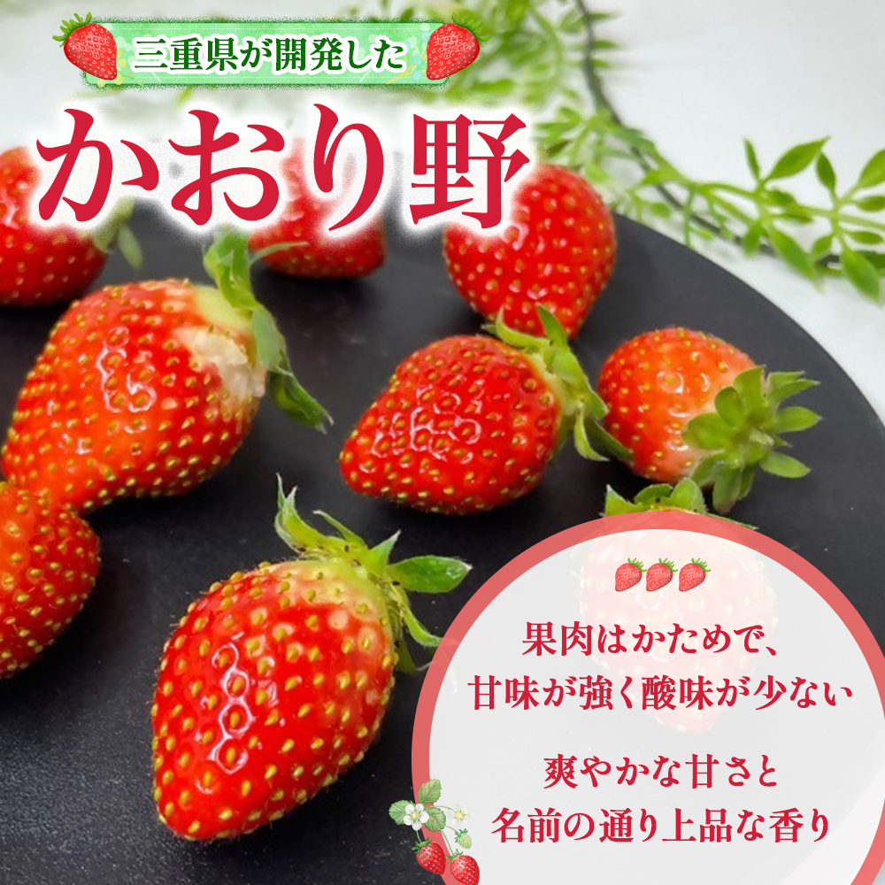 （小粒）農林水産大臣賞受賞農園からお届けする　訳アリ　かおり野　1kg（250ｇ×4Ｐ）/いちご　ISH-02