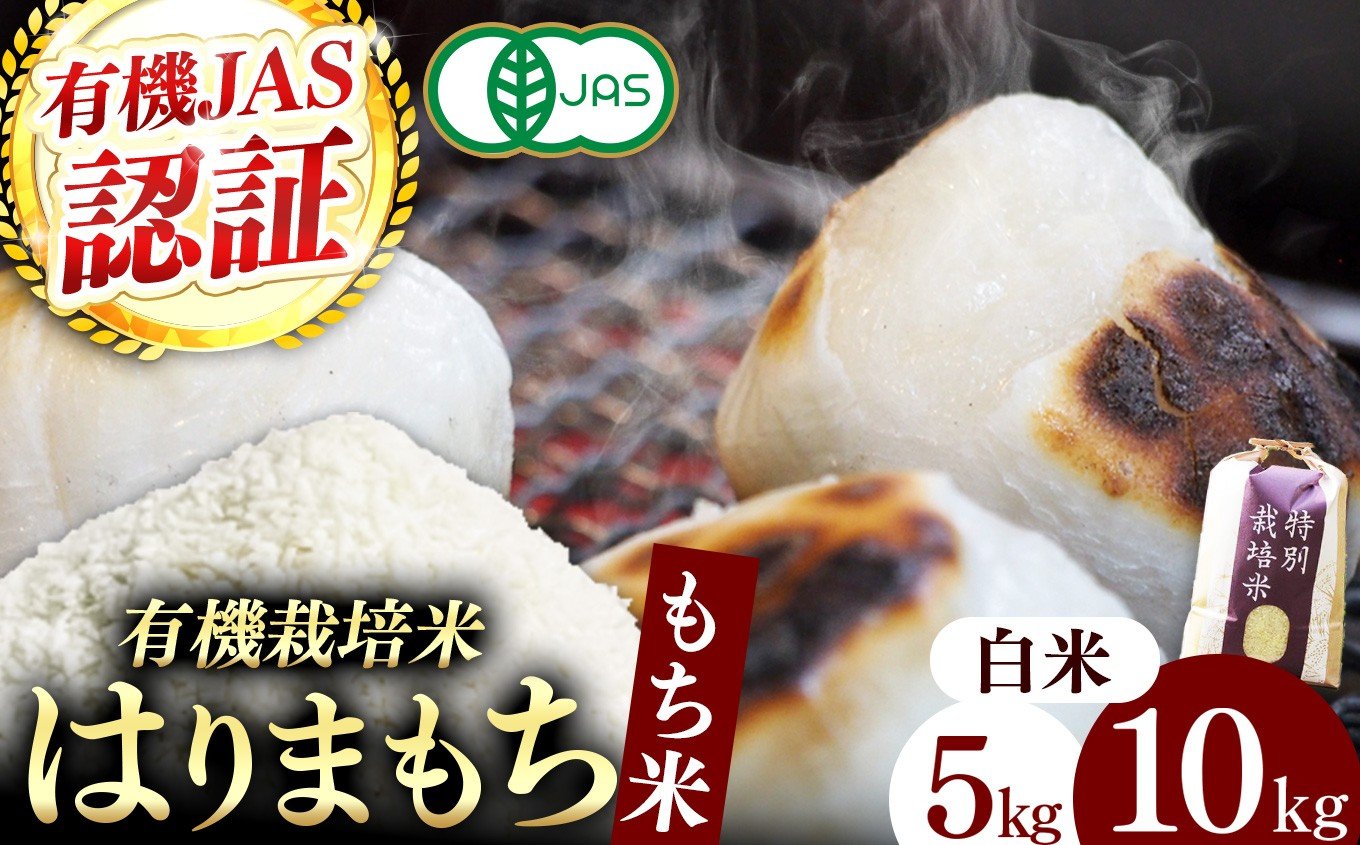 
            【選べる内容】【有機JAS認証米】『タガメの里・自然米』2025年産 もち米「はりまもち」白米 5kg 10kg | お米 おこめ 米 コメ こめ はりまもち 白米 有機JAS認証米 兵庫県 上郡町											
          