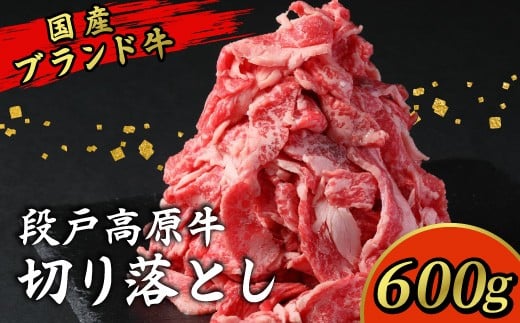 12月発送限定の特別規格★国産ブランド牛 切り落とし 600g (200g×3） 小分け 段戸山高原牛 幻 牛 国産 牛肉 牛 スライス 地域 限定 小分け 大満足 赤身 肉 数量限定 肉 牛肉切り落とし 牛切り落とし 国産牛 ブランド牛 5000円 -070