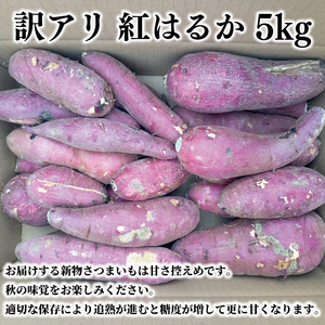 【2025年11月より順次発送】【数量限定】訳アリ 茨城県産紅はるか 約5kg|さつまいも 芋 サツマイモ 紅はるか 訳あり わけあり 先行予約 茨城県 取手市(AS003)