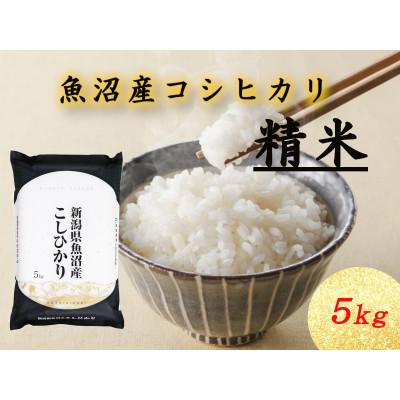 ふるさと納税 十日町市 魚沼産コシヒカリ　5kg×1