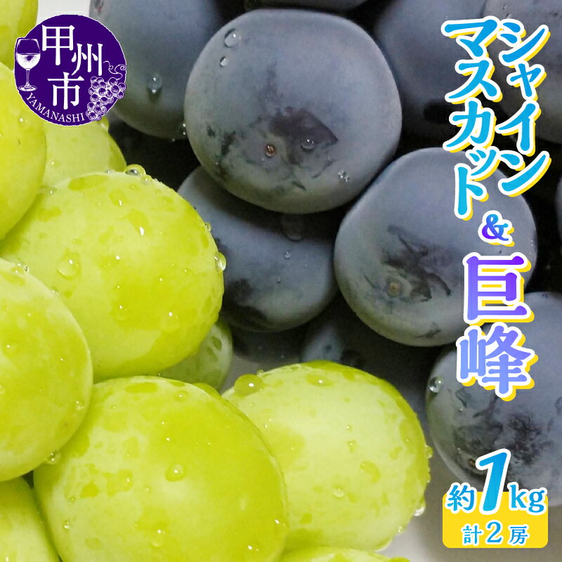 【ふるさと納税】 シャインマスカット 巨峰 2種 2026年 先行予約 2房 1.0kg 選べる 発送年 食べ比べ 2025年 期間限定 8月～10月 発送 果物 フルーツ ぶどう 盛り合わせ マスカット 詰め合わせ 甘い 果実 人気 おすすめ 名産 山梨県 甲州市 社員マスカット （LKS） 【B-852】