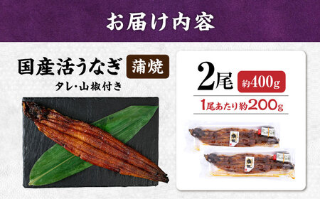 国産活うなぎ2尾（蒲焼）[AQDF007]鰻鰻鰻鰻鰻鰻鰻うなぎうなぎうなぎうなぎうなぎうなぎ