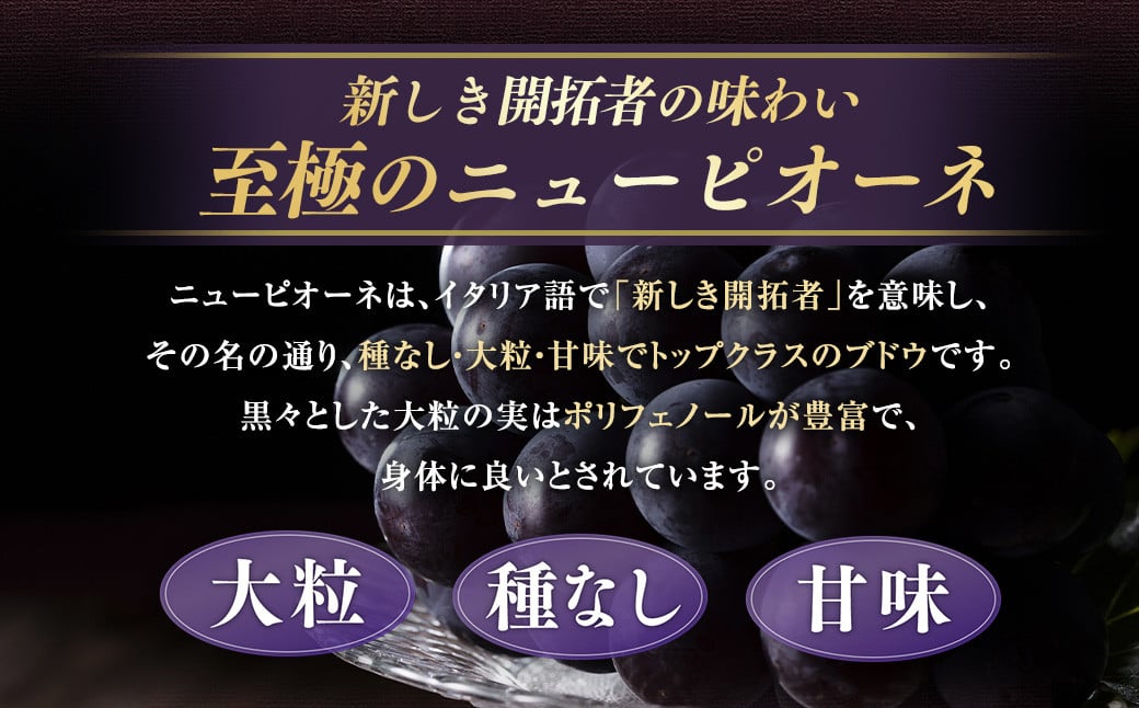 【種なし】 岡山県産 ニューピオーネ ・ クイーンニーナ MIX 1kg箱（各1房ずつ） 【2025年8月下旬～9月上旬発送予定】 ／ ぶどう ブドウ 葡萄 大粒 種なし 種無し フルーツ 果物 くだ