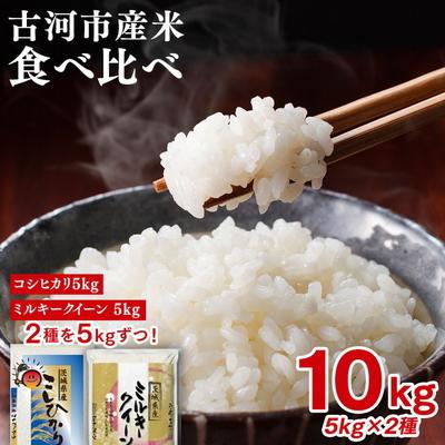 ふるさと納税 古河市 【新米】令和8年産 古河のお米食べ比べセット(コシヒカリ・ミルキークイーン)計10kg _DP04