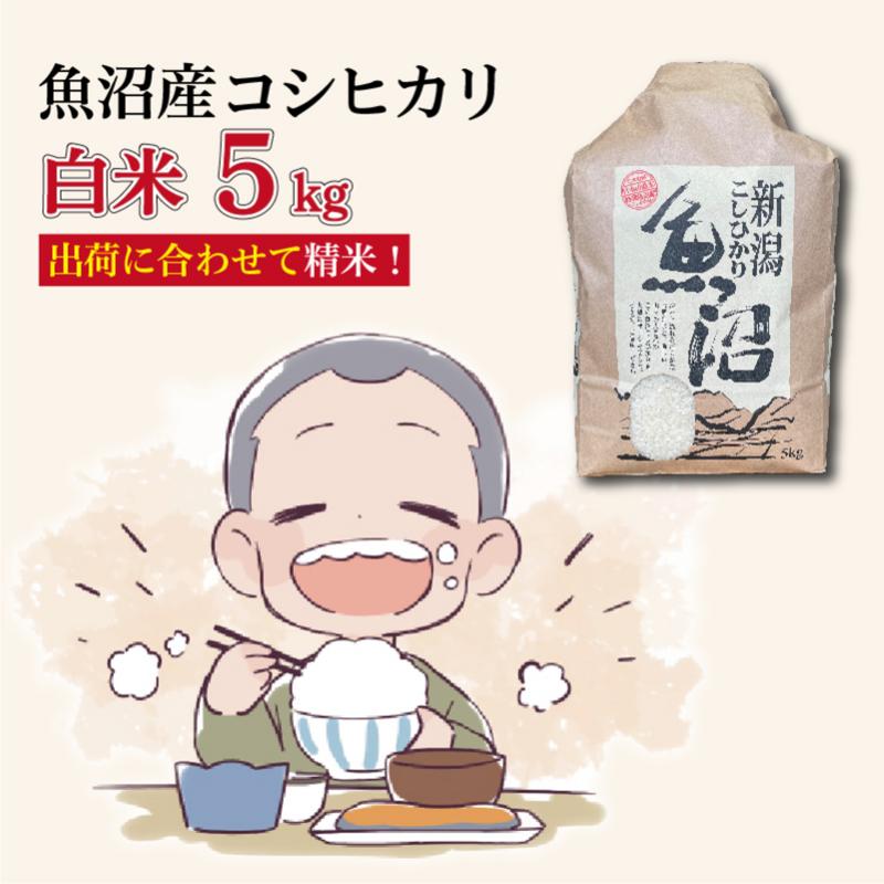 【ふるさと納税】令和7年産新米 魚沼産コシヒカリ【精米】5kg　お届け：2025年10月中旬～2026年8月下旬まで