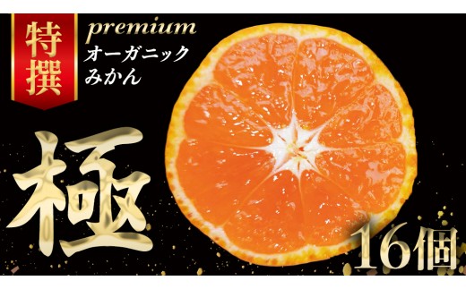 皮まで食べられる！ 特選プレミアム オーガニックみかん 極 (きわみ) 約1.5kg 【先行予約 11月～1月中旬発送予定】  化粧箱入 有機JAS認証 樹上完熟 朝採り 贈答 ギフト 瀬戸内 温州みかん 産地直送 フルーツ 果物 柑橘 少量 16個