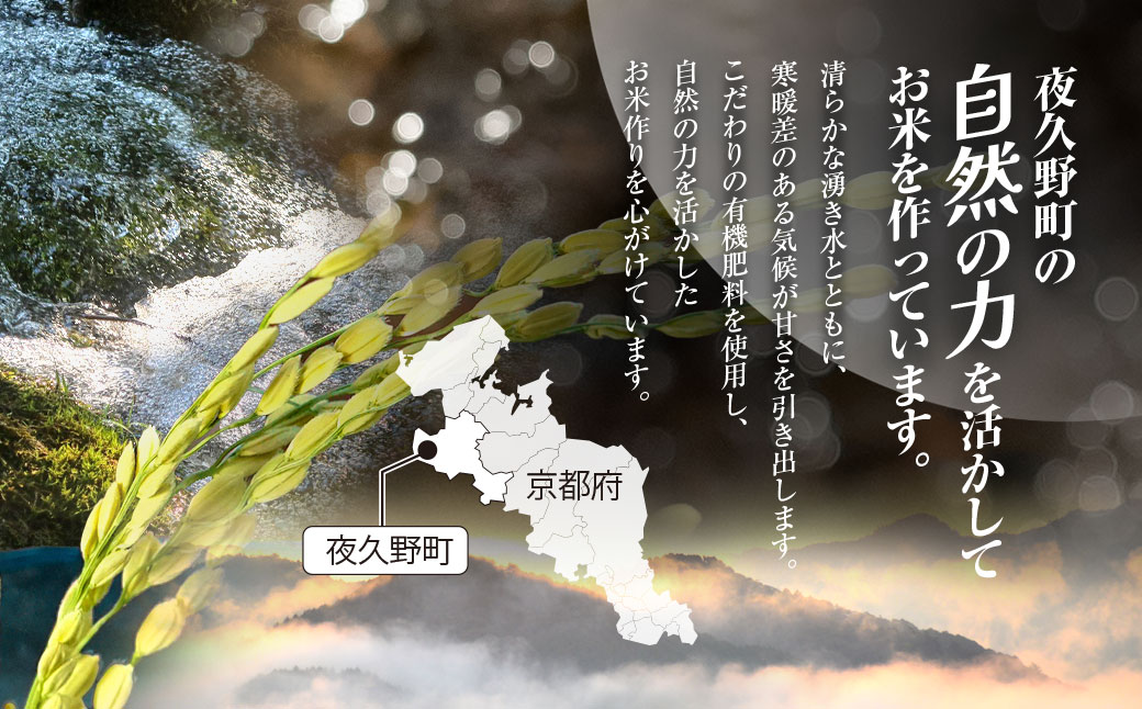 ＜令和7年産＞ 京都夜久野産 清雫(せいな) コシヒカリ 玄米 (5kg) ふるさと納税 福知山市 特産品 令和7年度産 先行 定期便 選べる 容量 回数 玄米 夜久野 京都 【fc-DB005-B】