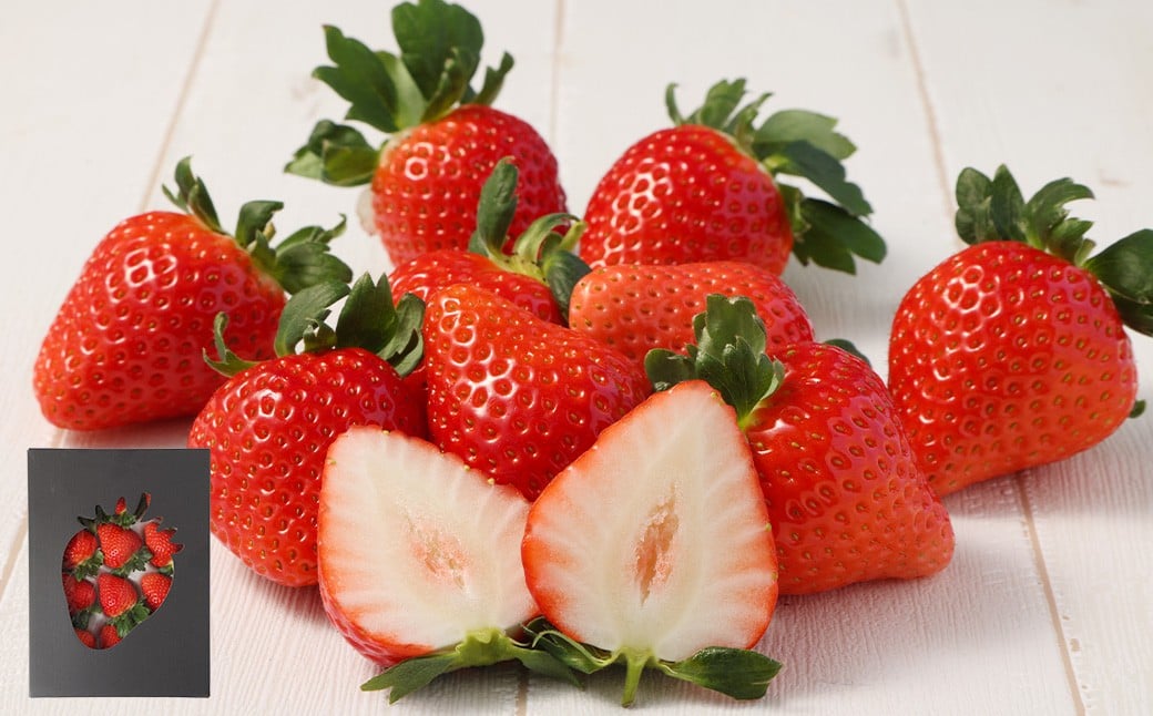 
            益城産 いちご 500g×1パック 贈答箱入り 【2026年1月上旬より順次発送】
          